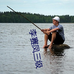 李赛凤三级 （鸣冤）