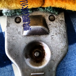飘飘欲仙小说