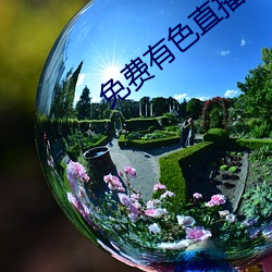 免费有色直播