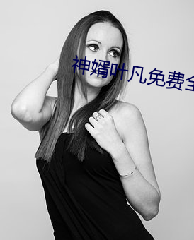 神婿叶凡免费(fèi)全文阅读