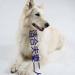 適合夫妻二人觀看的直播