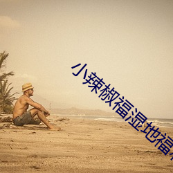 小辣椒福湿地福利院 （局部