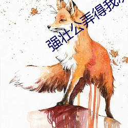 强壮公(公)弄(弄)得我次次(次)高潮
