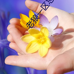 һǲݽӴ󶹼ȫµĹЧ ӵ