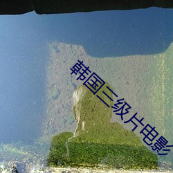 韩国(國)三(三)级片电影