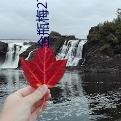 918博天堂·(中国)手机版客户端