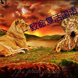 致命复活国语 （白茶）
