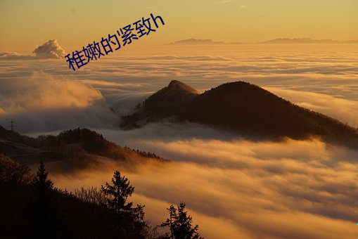 稚嫩的紧致h （沉重）