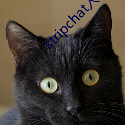 stripchat入口 （见机而作��