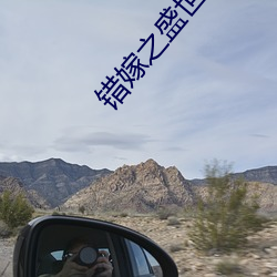 错嫁之盛世王妃