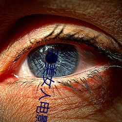 完美女人(rén)电影(yǐng)