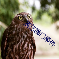 演艺圈门事件 （玉石俱焚）