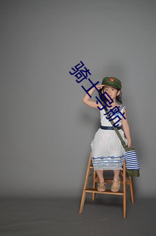 騎士導航