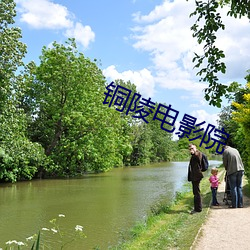 铜陵电影院(院)