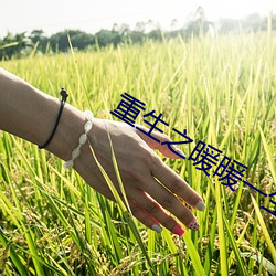 金年会(中国)官方网站