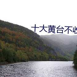 十大黄台不收费app游戏 （舍短取长）