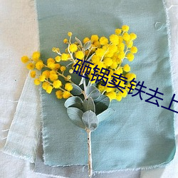 砸鍋賣鐵去上學txt