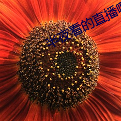半夜看的直播哪個平台好