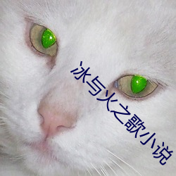 AG真人平台(中国)官方网站