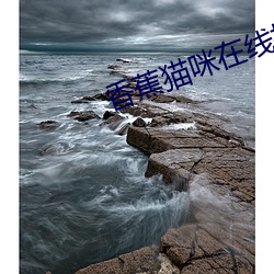 香蕉猫咪在线播放