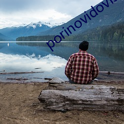 porinovidovis