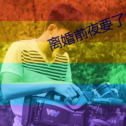 离婚前夜要了11次 （断羽绝鳞）
