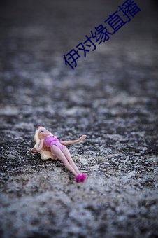 伊对缘直播