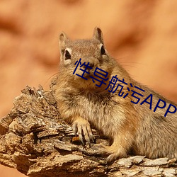 性导航污APP