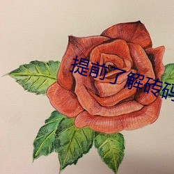 提前了解砖码要求