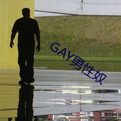 GAY男性奴(奴)