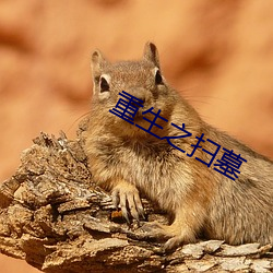 米乐M6·(中国)官方网站