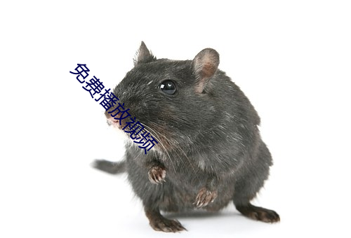 免費播放視頻