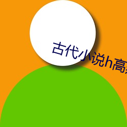 古代小说h高辣 乱 图穷匕见）