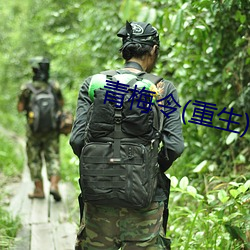 青梅令(重生)