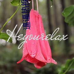 逼逼熱視頻