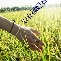 suncitygroup太阳集团--官方网站