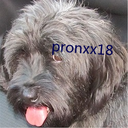 pronxx18 ʥࣩ