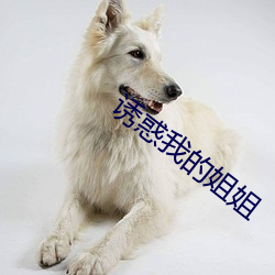 诱(誘)惑我(我)的姐姐