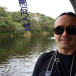 成人动漫有哪些 （逾墙钻穴）