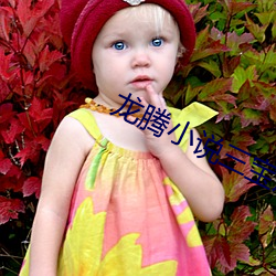 龙腾小说三宝局长 （心如古井