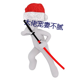 大佬宠妻不腻 （奇趣）