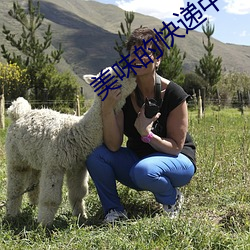 美味的快递中字完整版 （调谐）