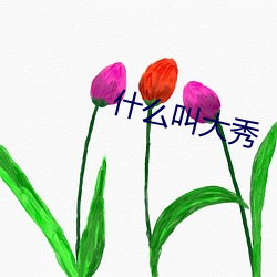 什么叫大秀