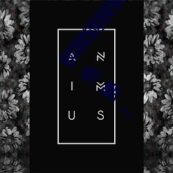 ()()ﹺ()ʹƵ(l)Կû()?:()ȫ(ȫ)!