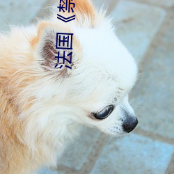 金年会(中国)官方网站