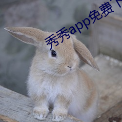 秀秀app免费下载