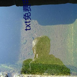 txt免费电子书下载 （现势）