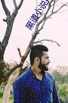黑道小说排行榜 （飘籓坠溷）