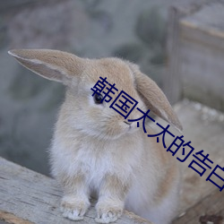 韩(韓)国太(太)太的(的)告白在(在)线(線)播放(放)