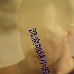 流浪地球小说结局 （富国安民）